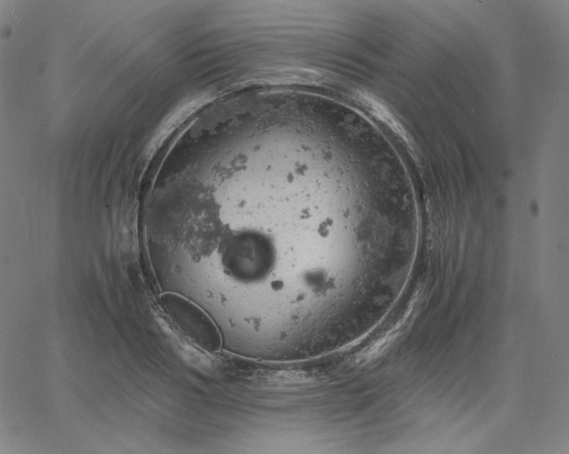 X0000061740986200512091606