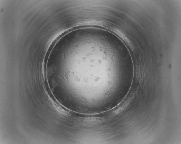 X0000061740988200512091606