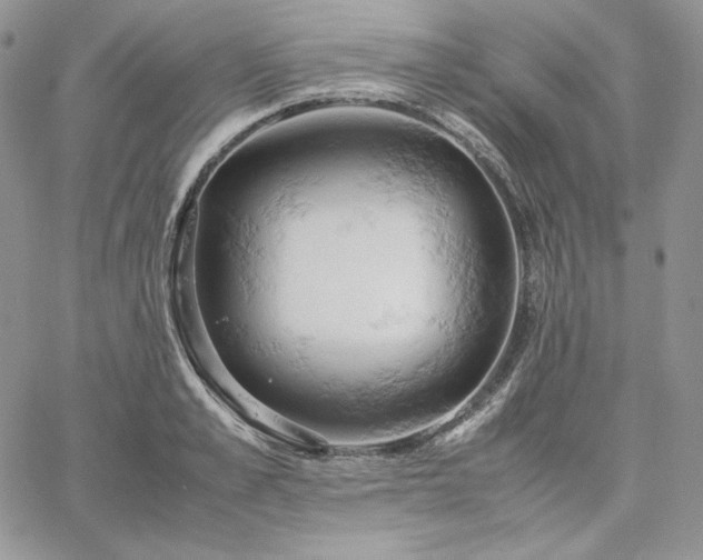 X0000061740989200512091606