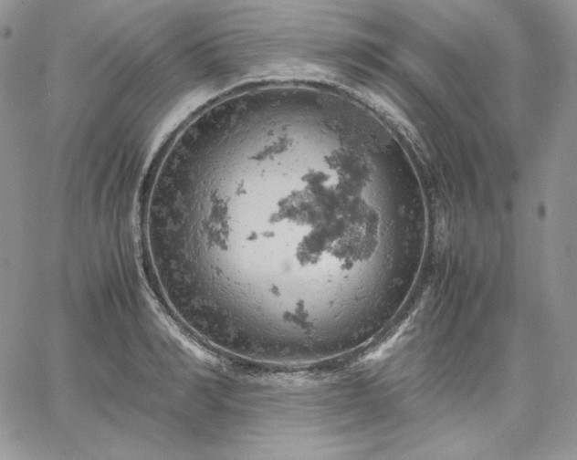 X0000061740990200512091606