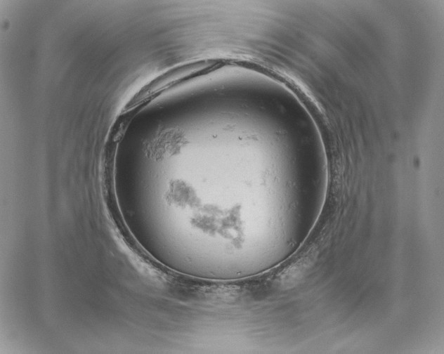 X0000061740991200512091606