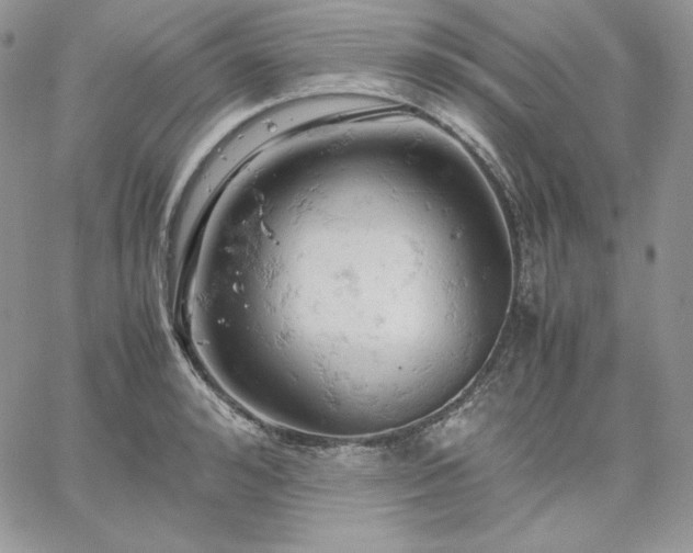 X0000061740992200512091606