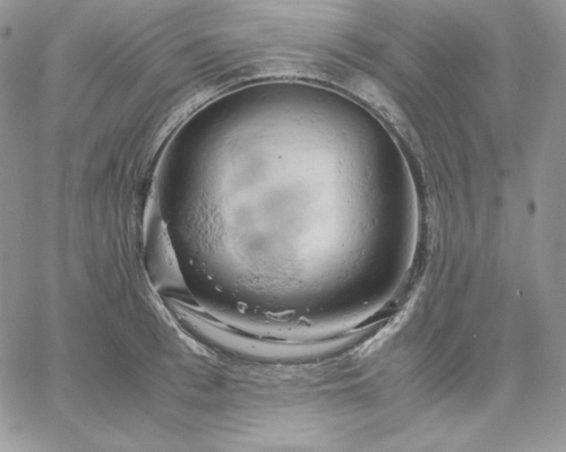 X0000061740993200512091606