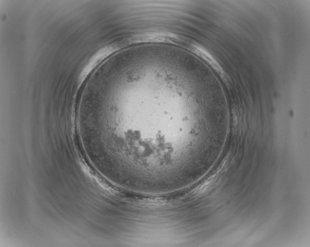 X0000061740994200512091606