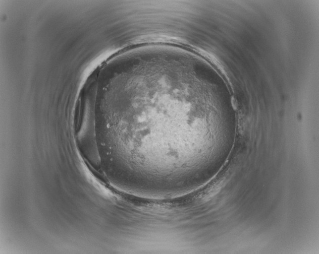 X0000061740995200512091606