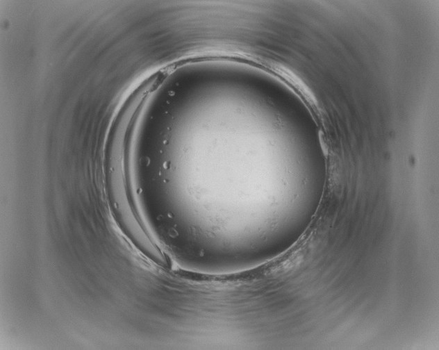 X0000061740996200512091606