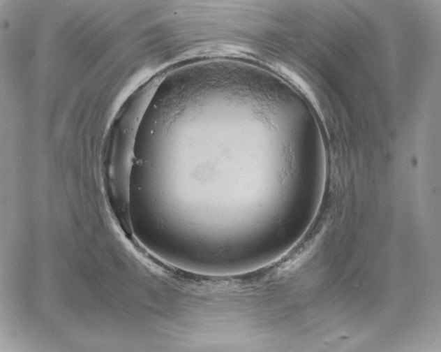 X0000061740997200512091606