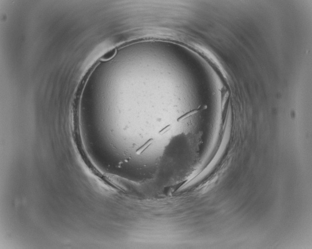 X0000061740999200512091606