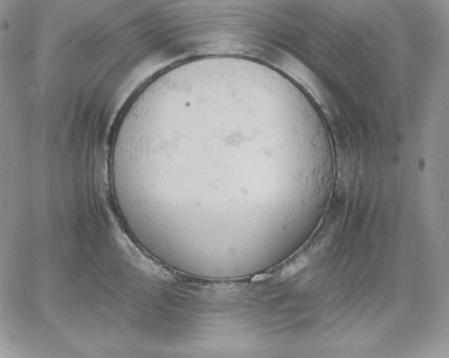 X0000061741000200512091606