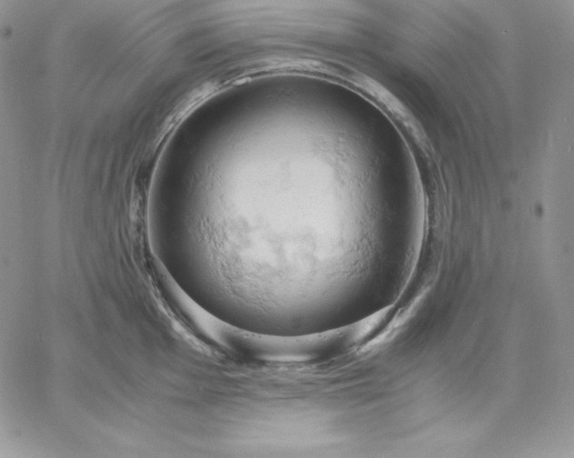 X0000061741001200512091606