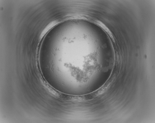 X0000061741002200512091606