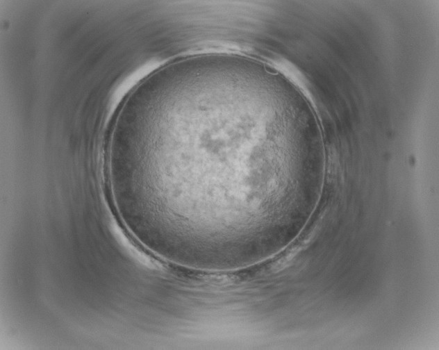 X0000061741003200512091606