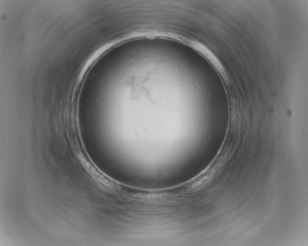 X0000061741004200512091606