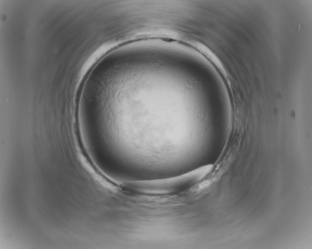 X0000061741005200512091606