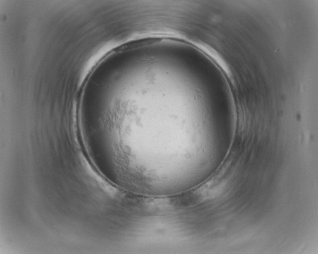 X0000061741006200512091605