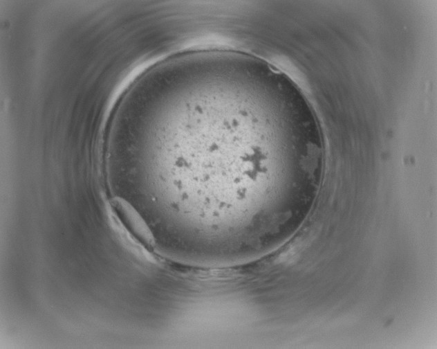 X0000061741008200512091605