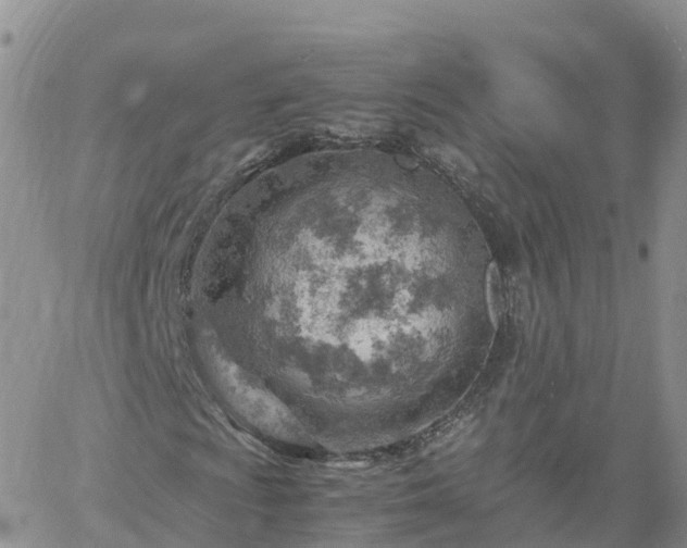 X0000061741009200512091605