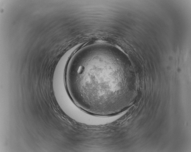 X0000061741010200512091605