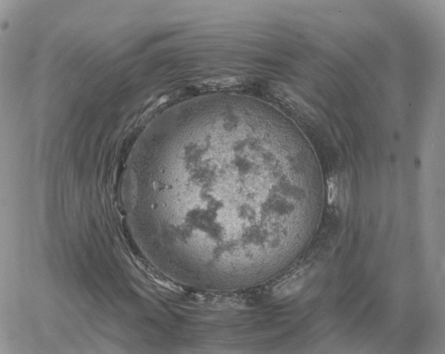 X0000061741011200512091605