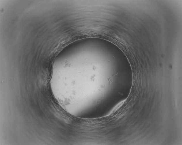 X0000061741012200512091605