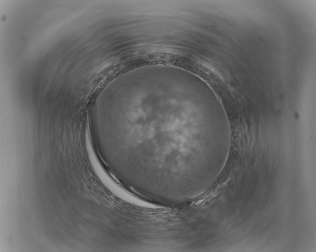 X0000061741013200512091605