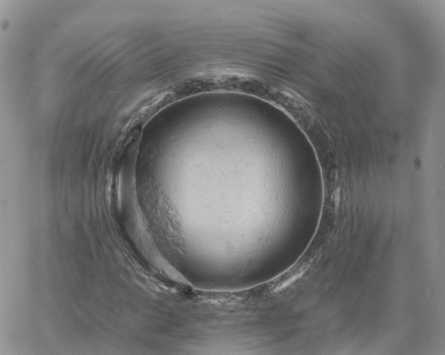 X0000061741014200512091605