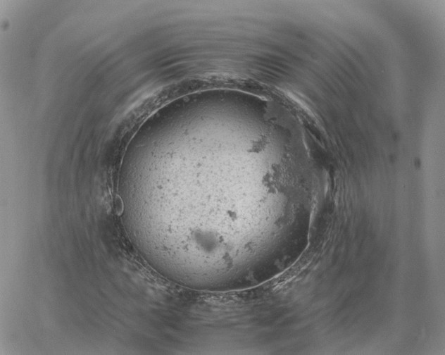 X0000061741015200512091605