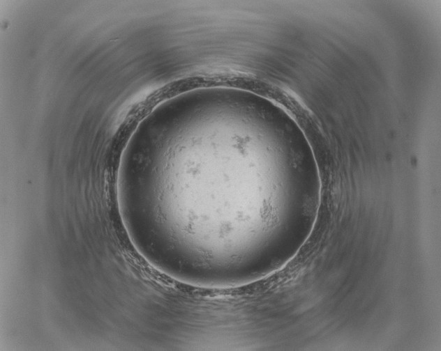 X0000061741016200512091605