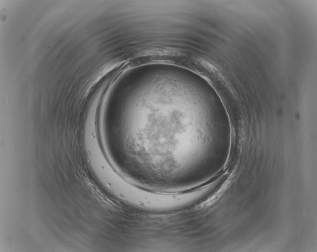 X0000061741017200512091605