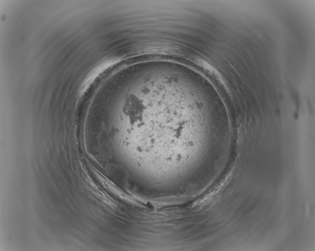 X0000061741019200512091605