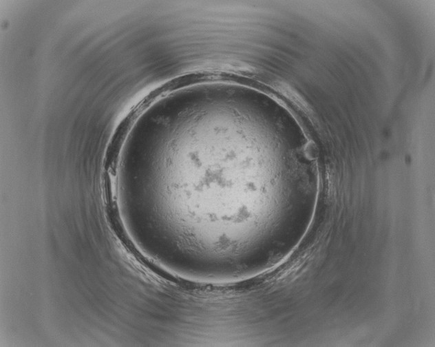 X0000061741020200512091605