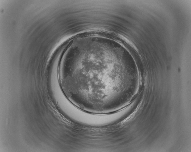 X0000061741021200512091605