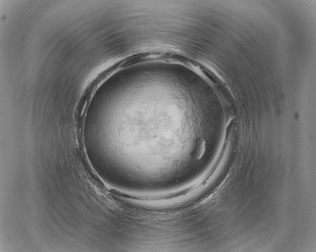 X0000061741022200512091605