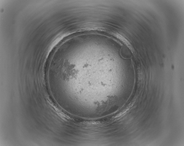 X0000061741023200512091605