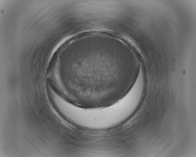 X0000061741024200512091605