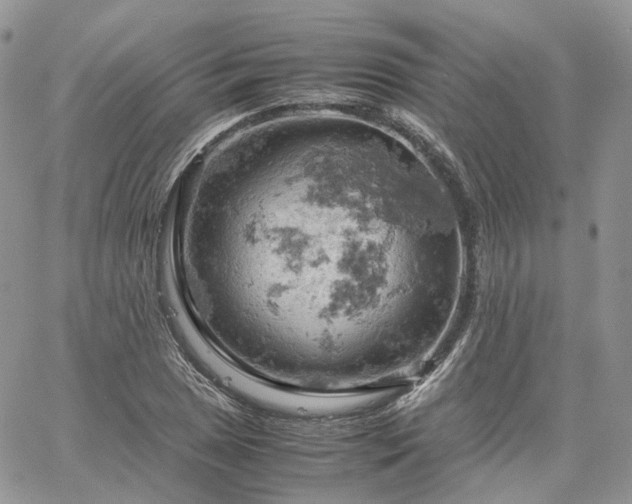 X0000061741025200512091605