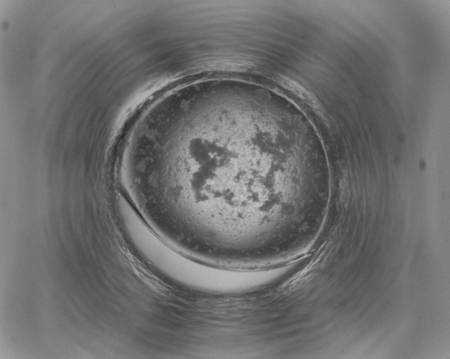 X0000061741027200512091605