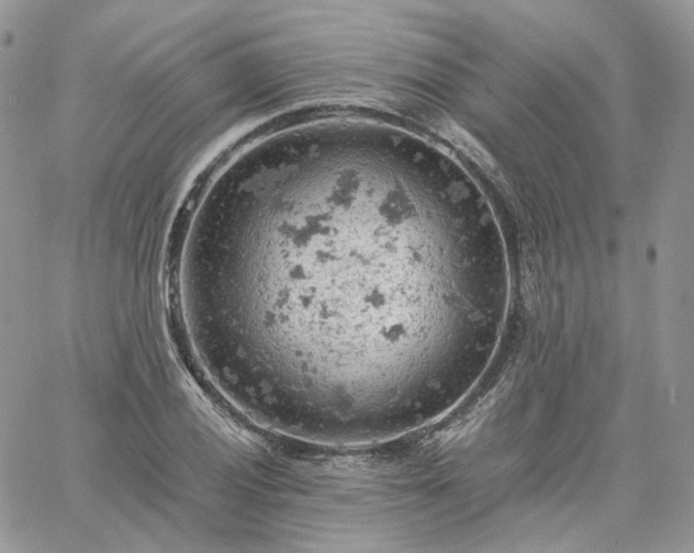 X0000061741028200512091605