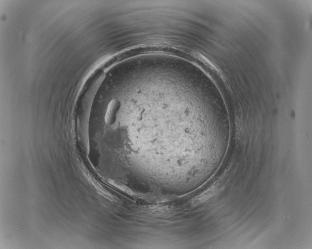 X0000061741029200512091605