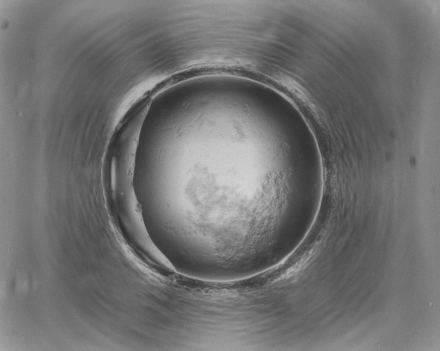 X0000061741030200512091605