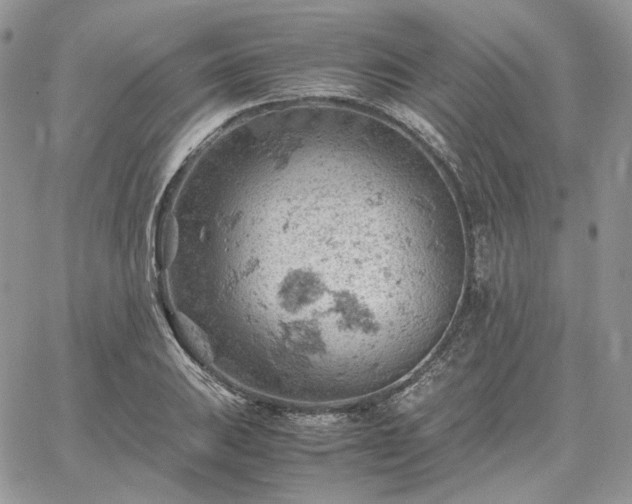 X0000061741031200512091605