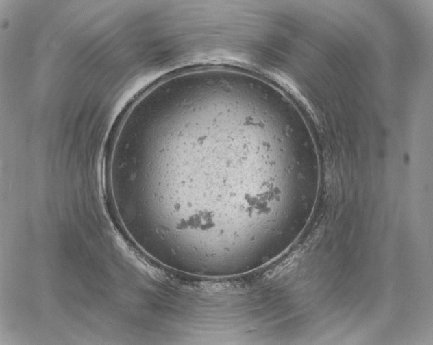 X0000061741032200512091605