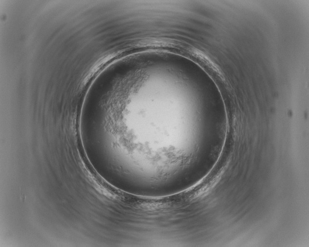 X0000061741033200512091605