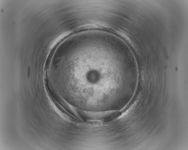 X0000061741034200512091605