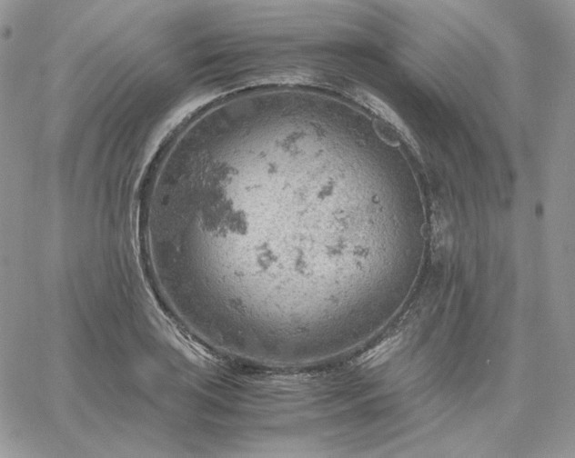 X0000061741035200512091605