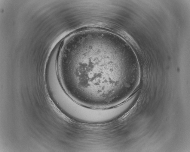 X0000061741036200512091605