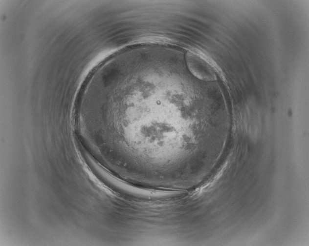 X0000061741037200512091605