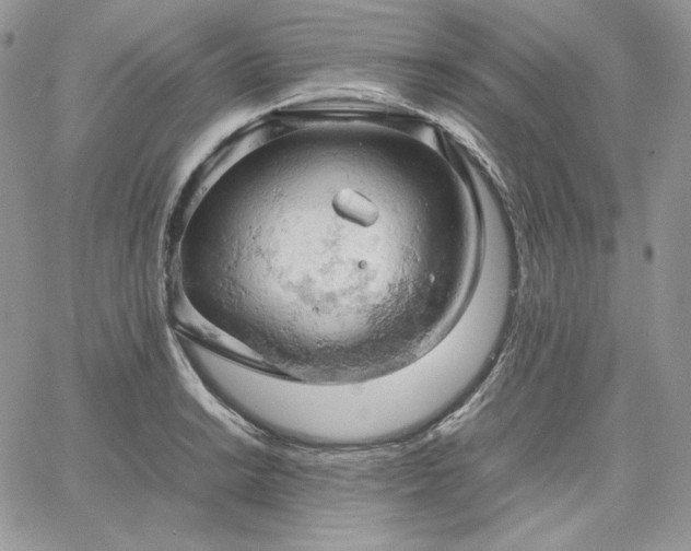 X0000061741038200512091605