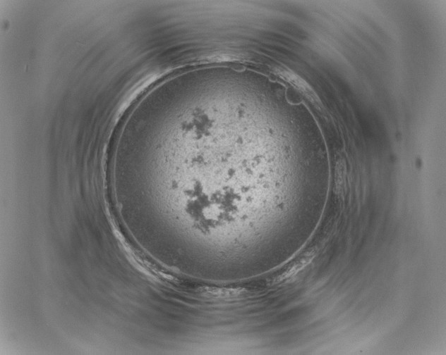 X0000061741039200512091605