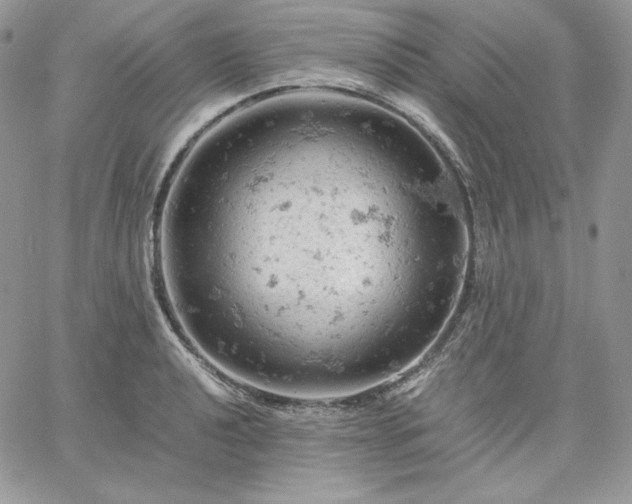 X0000061741040200512091605